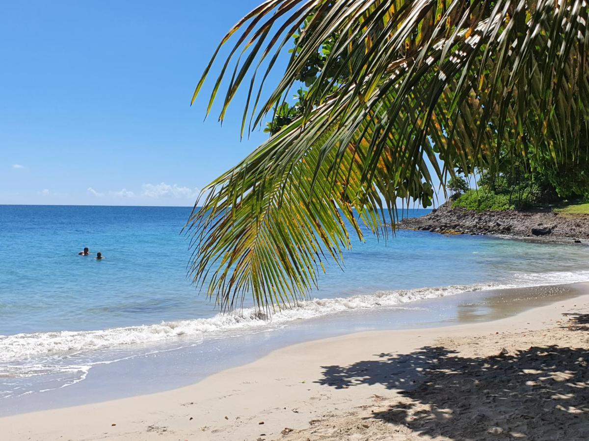 Ti Oasis Trinidad, Studio Vue Mer A Pierre & Vacances Sainte-Luce Exteriör bild