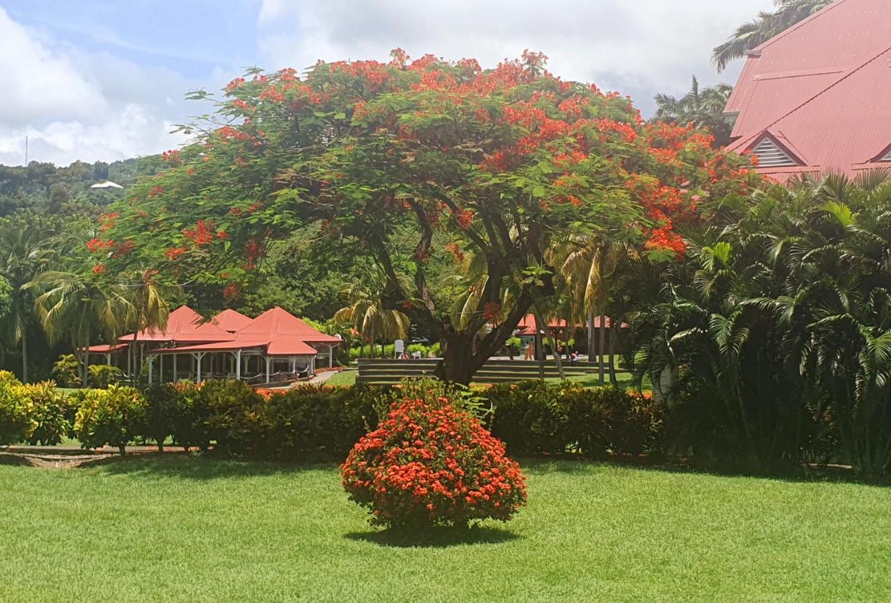 Ti Oasis Trinidad, Studio Vue Mer A Pierre & Vacances Sainte-Luce Exteriör bild